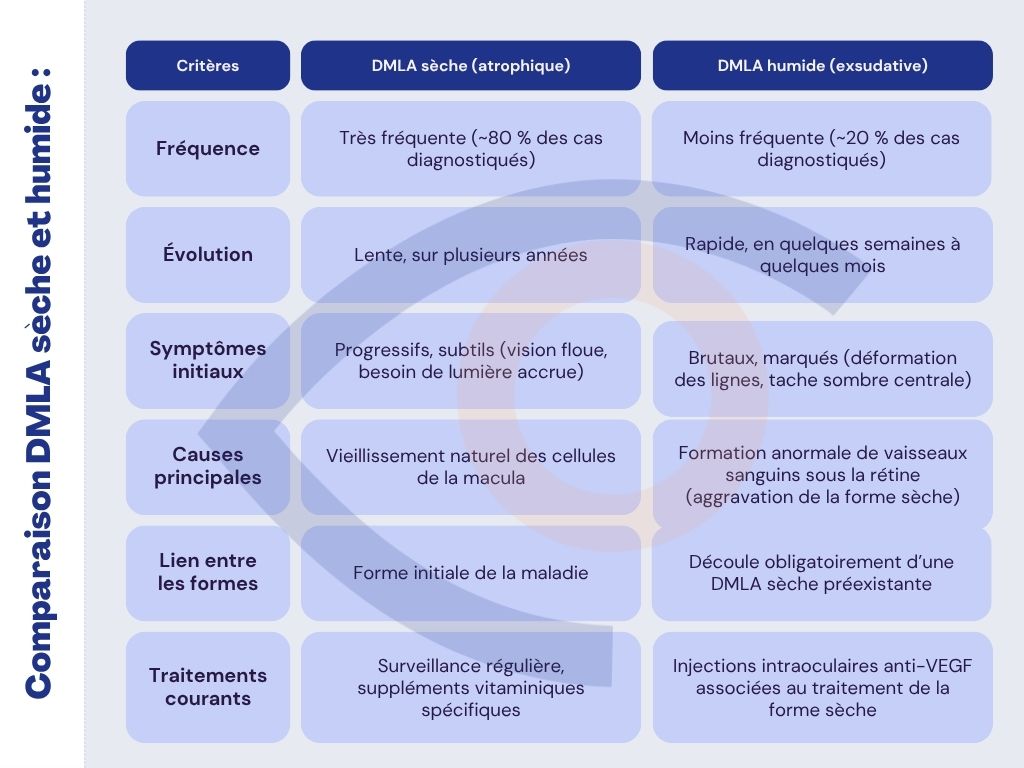 comparaison-DMLA-seche-humide Tableau comparatif entre la DMLA sèche (atrophique) et la DMLA humide (exsudative), détaillant les différences en termes de fréquence, évolution, symptômes, causes, lien entre les formes et traitements. La DMLA sèche est plus fréquente, évolue lentement et présente des symptômes progressifs, tandis que la DMLA humide est plus rare, évolue rapidement et cause une perte de vision brutale.